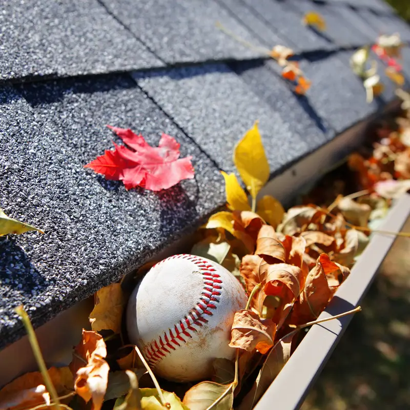 gutter cleaning